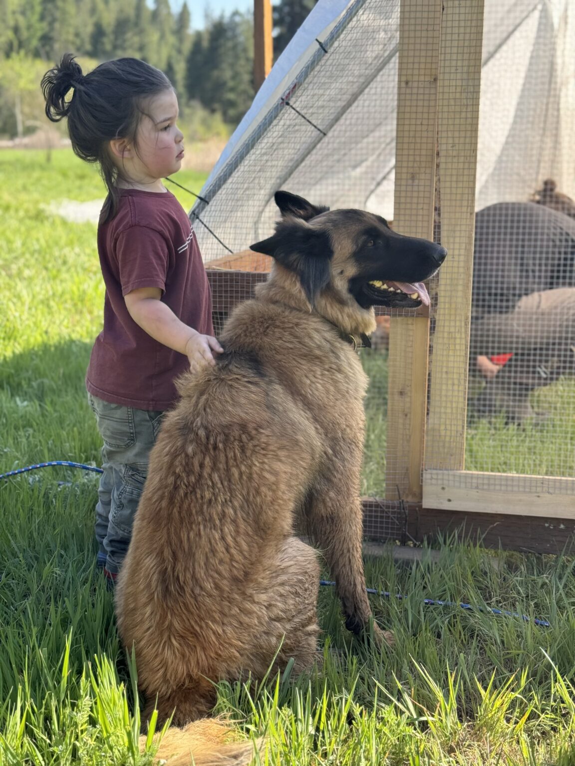 Child and Dog